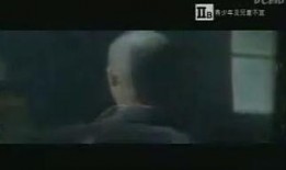 暗花在线观看,揭秘网络世界的暗流涌动